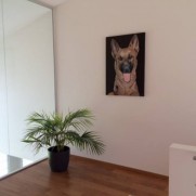 in het interieur