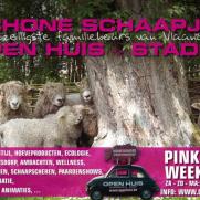 Schone Schaapjes 2013 Staden