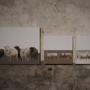 art next door 2015