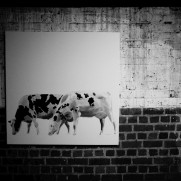 art next door 2015
