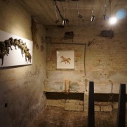 art next door 2015