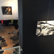Xpo Hotel Banks – Daytime Café 2016